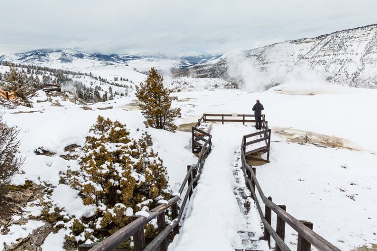 63 Yellowstone NP.jpg